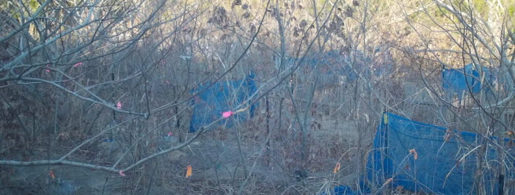 Feb 21 2026 16:13:48, #01