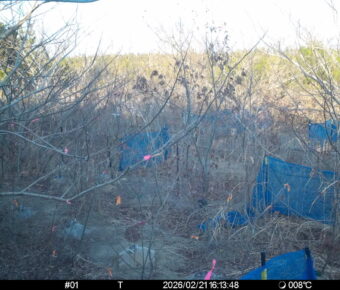 Feb 21 2026 16:13:48, #01