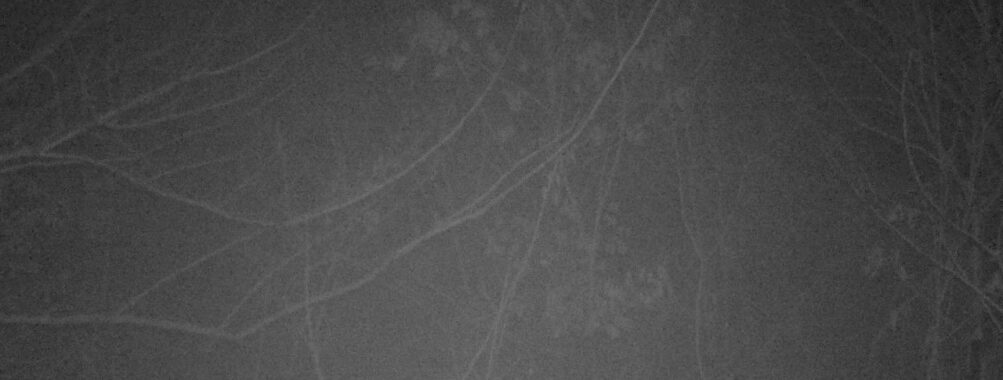 Feb 21 2026 19:13:48, #01