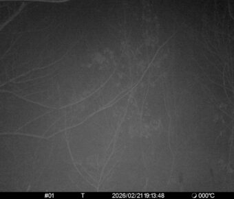 Feb 21 2026 19:13:48, #01