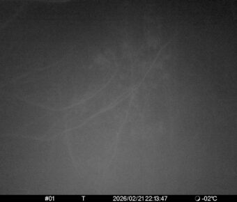 Feb 21 2026 22:13:47, #01