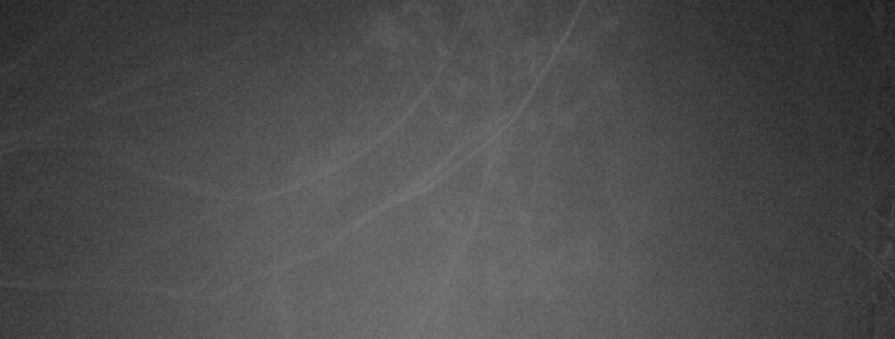 Feb 22 2026  1:13:46, #01