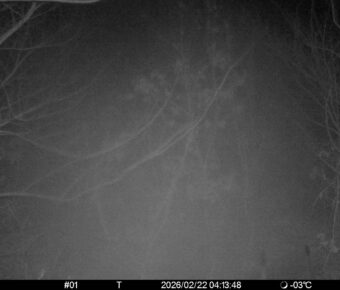 Feb 22 2026  4:13:48, #01