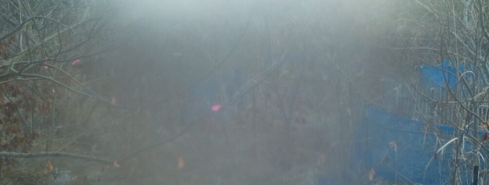 Feb 22 2026  7:13:47, #01