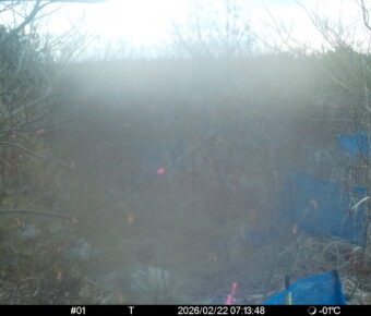 Feb 22 2026  7:13:47, #01