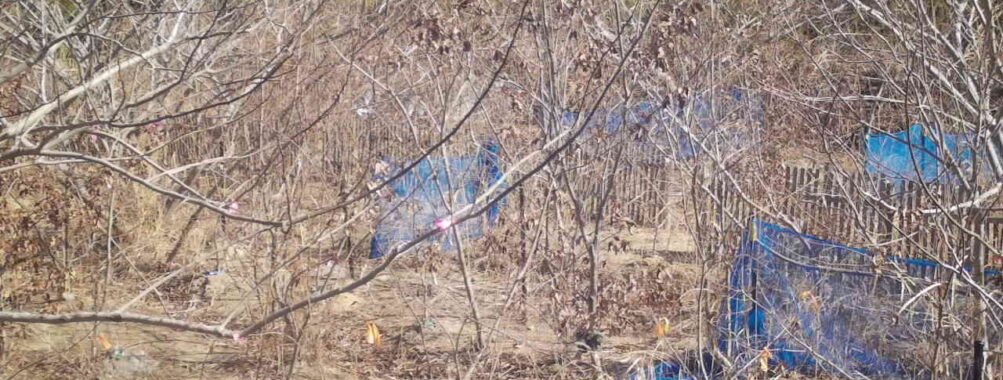 Feb 22 2026 10:13:48, #01