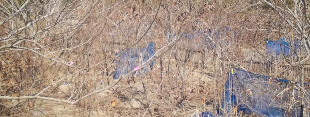 Feb 22 2026 13:13:47, #01