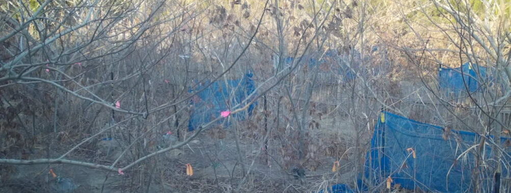 Feb 22 2026 16:13:48, #01