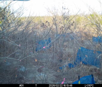 Feb 22 2026 16:13:48, #01