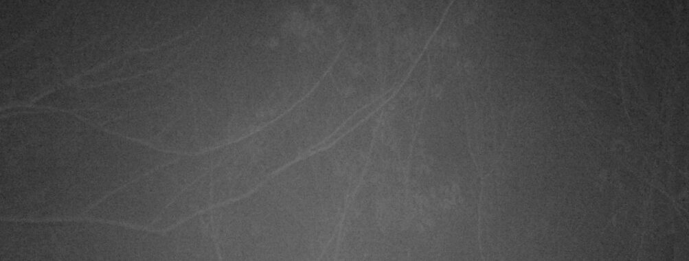 Feb 22 2026 19:13:48, #01