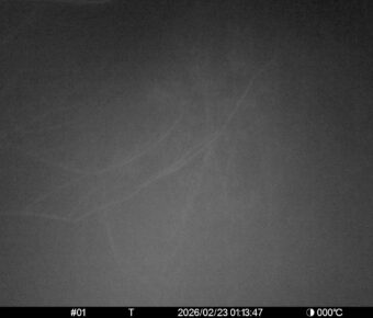 Feb 23 2026  1:13:47, #01