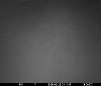 Feb 23 2026  4:13:46, #01