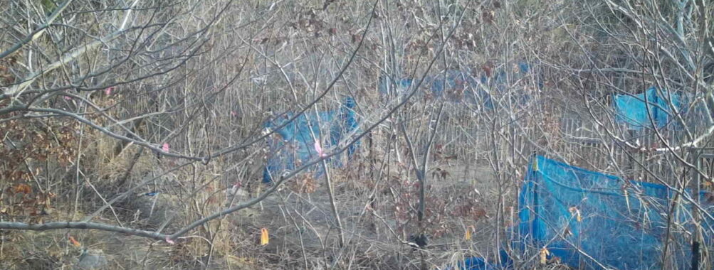 Feb 23 2026  7:13:48, #01