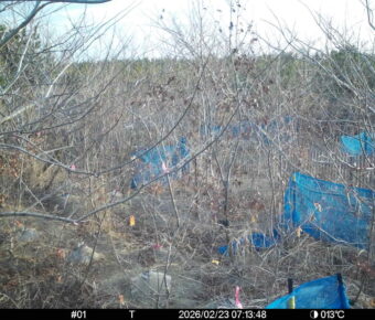 Feb 23 2026  7:13:48, #01