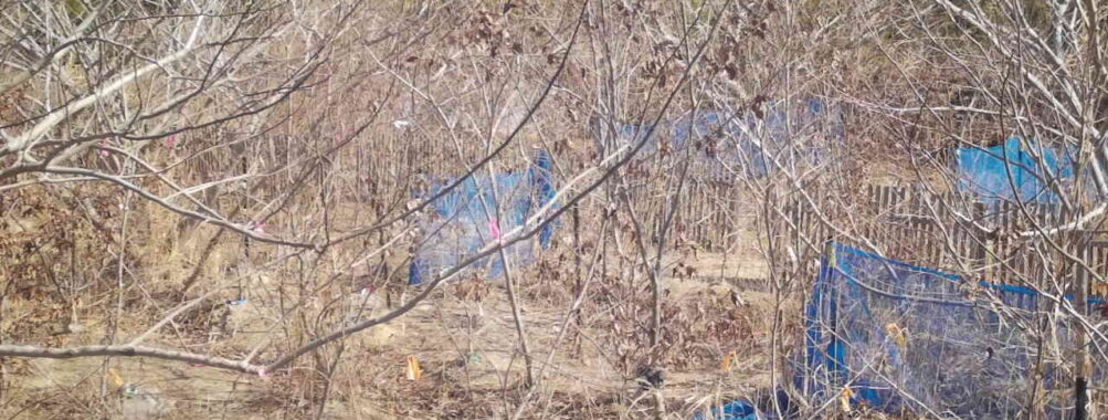 Feb 23 2026 10:13:48, #01