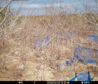 Feb 23 2026 13:13:48, #01