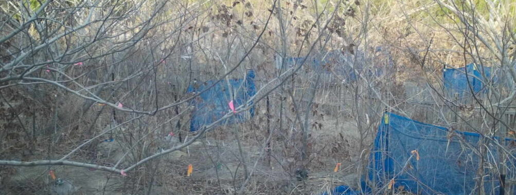 Feb 23 2026 16:13:48, #01