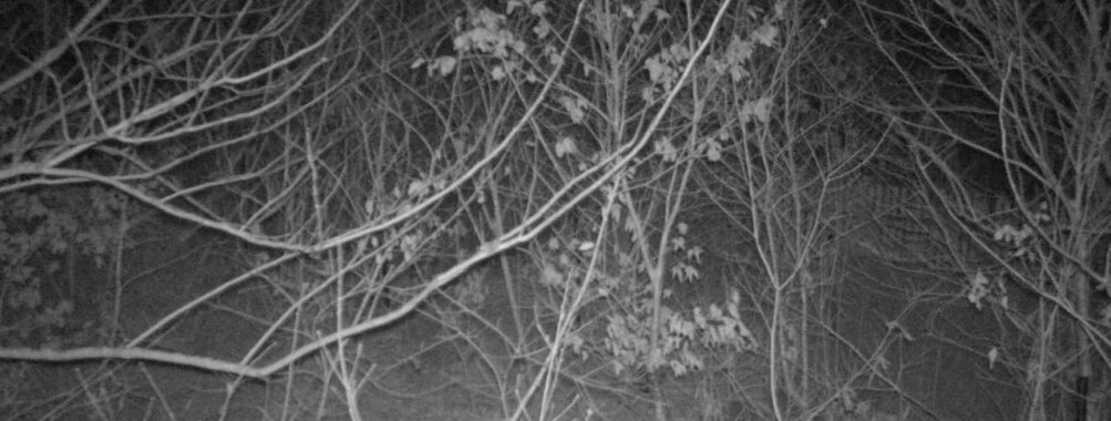 Feb 23 2026 19:13:47, #01