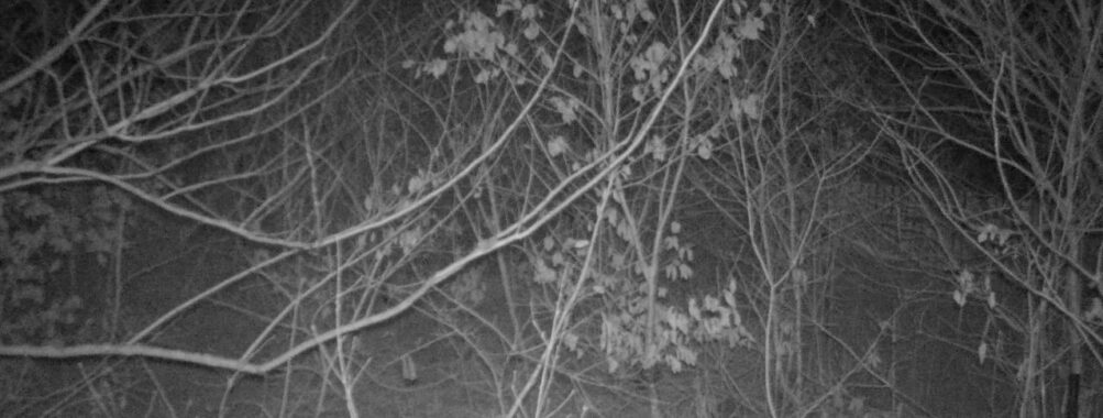 Feb 24 2026  4:13:47, #01