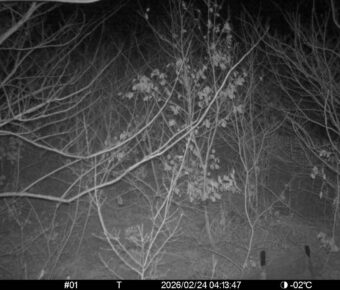 Feb 24 2026  4:13:47, #01