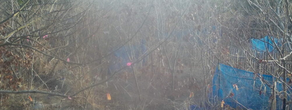 Feb 24 2026  7:13:48, #01