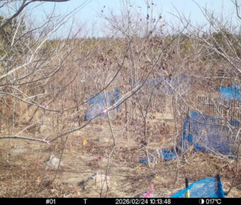 Feb 24 2026 10:13:48, #01