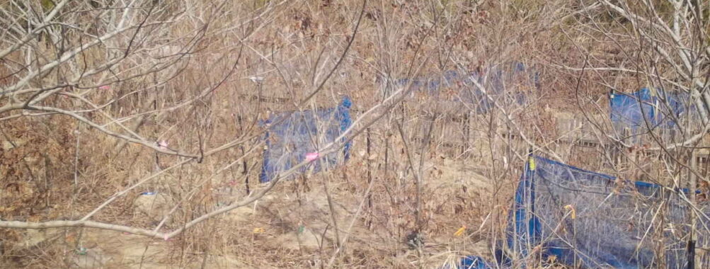 Feb 24 2026 13:13:47, #01