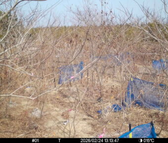 Feb 24 2026 13:13:47, #01