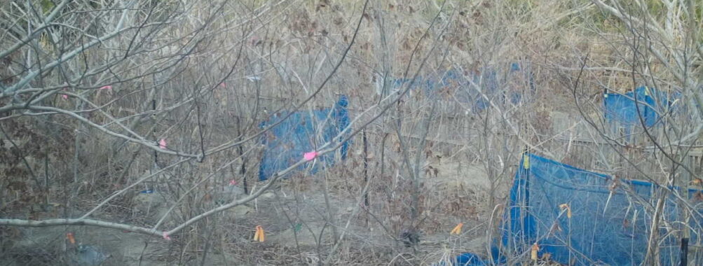 Feb 24 2026 16:13:48, #01