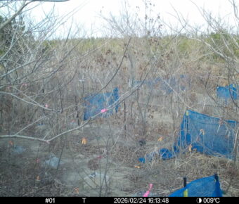 Feb 24 2026 16:13:48, #01