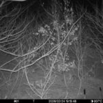 Feb 24 2026 19:13:48, #01