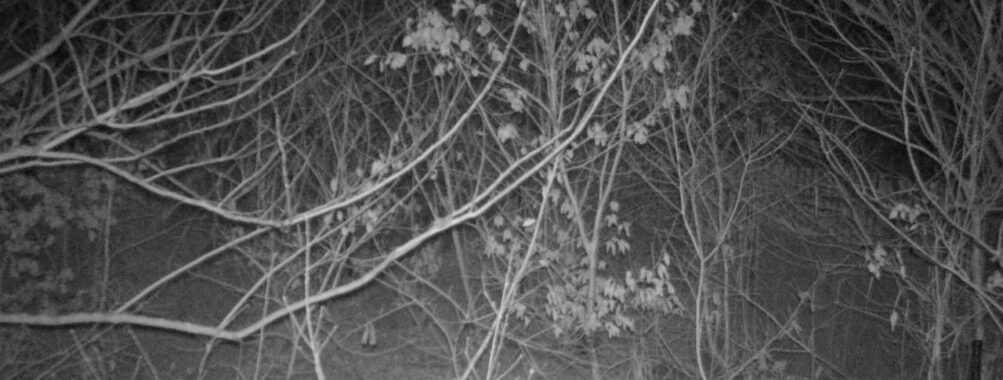 Feb 24 2026 22:13:47, #01