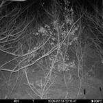 Feb 24 2026 22:13:47, #01