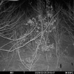 Feb 25 2026 1:13:47, #01