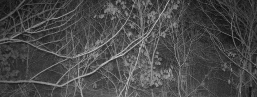 Feb 25 2026  4:13:47, #01