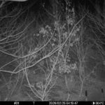 Feb 25 2026 4:13:47, #01