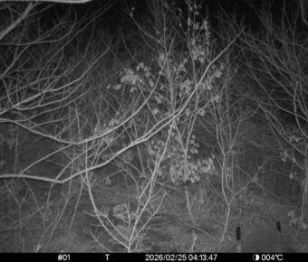 Feb 25 2026  4:13:47, #01