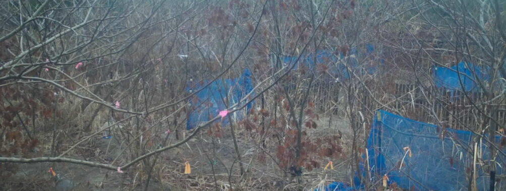 Feb 25 2026  7:13:48, #01