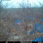 Feb 25 2026 7:13:48, #01