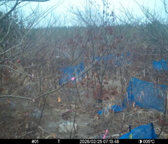 Feb 25 2026  7:13:48, #01