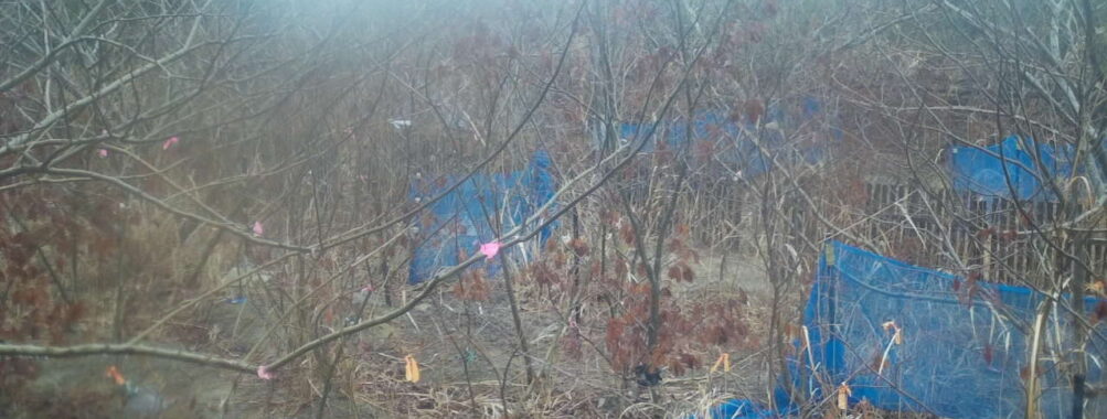 Feb 25 2026 10:13:48, #01