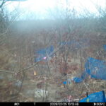 Feb 25 2026 10:13:48, #01