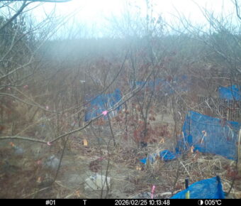 Feb 25 2026 10:13:48, #01