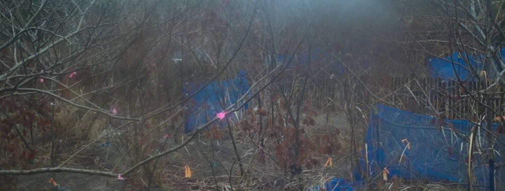 Feb 25 2026 13:13:47, #01