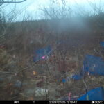 Feb 25 2026 13:13:47, #01