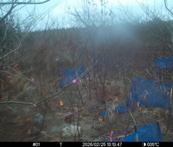 Feb 25 2026 13:13:47, #01