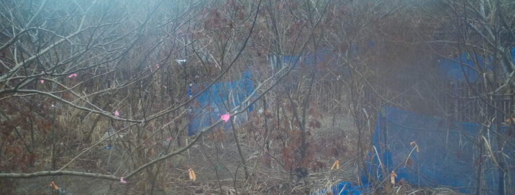 Feb 25 2026 16:13:48, #01