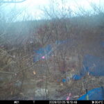 Feb 25 2026 16:13:48, #01