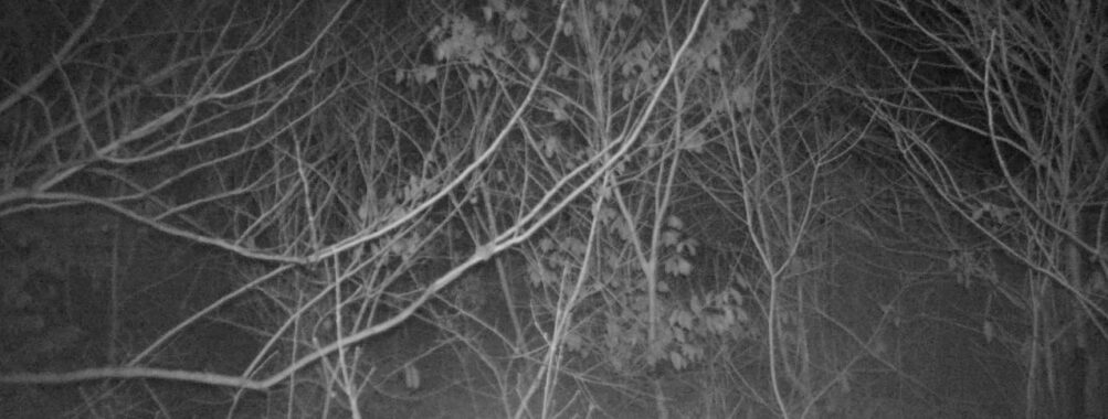 Feb 25 2026 19:13:48, #01