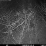 Feb 25 2026 19:13:48, #01